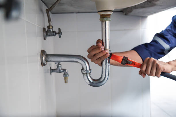 Best Toilet Repair Services  in Picacho Hills, NM